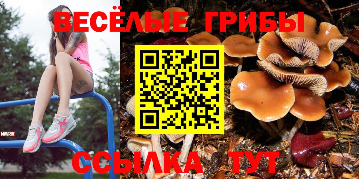 Россошь  хочу   Вход с VPN  Галлюциногенные грибы Magic Shrooms 